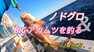 入門 アカムツ釣り 赤いダイヤを狙え BIGノドグロ参上