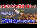 【物理エンジン】とんでもない密度を持つ中性子星の万有引力がヤバすぎる