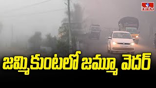 Fog in Jammikunta :  కరీంనగర్ జిల్లా జమ్మికుంటలో కమ్ముకున్న పొగమంచు | hmtv