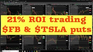 21% ROI trading $FB and $TSLA puts