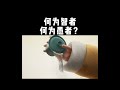 【一禪小和尚】何为智者？何为愚者？ shorts