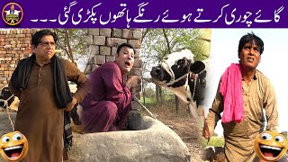 Cow Caught For Stealing  #sardarkamalofficial #funnypranksvideos #hilariouscomedy