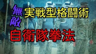 実戦型格闘術「自衛隊拳法」