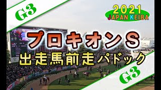 【競馬パドック】プロキオンS・前走パドック（2021年）