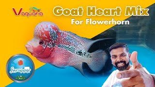 Goat Heart Mix for Flowerhorn Fish || Vaquaria Fish Food