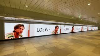 【新宿】JR東日本 新宿ウォール456 LOEWE #loewe