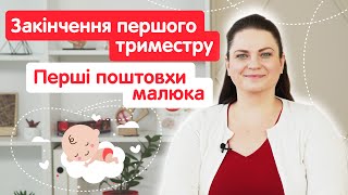 Закінчення першого триместру | Перші поштовхи малюка | Супровід вагітності