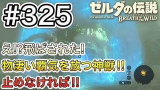 【#325】氷が厄介! 神獣ヴァ・ルッタ戦![ゼルダの伝説 ブレスオブザワイルド]