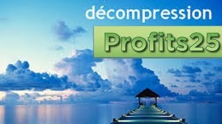 Profits25 meilleur complément de revenus