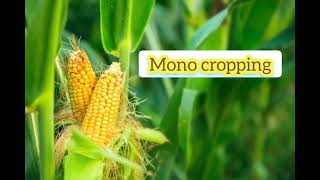 Mono cropping and Mono culture #agriculture #youtube #agronomy