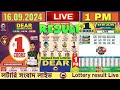 🔴 Lottery Live Nagaland dear sambad 1 pm 16.09.2024 | Lottery Live