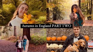 Autumn video diaries: October in England (PART TWO)