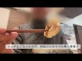 正月にはカニ鍋で美味しいスタートを！