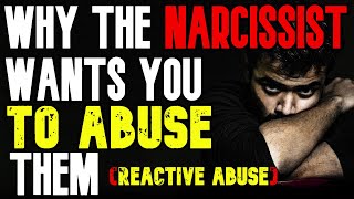 When The Narcissist Provokes You