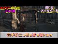 【ddon】ソネル攻略ポンコツおぼじゃ用 ４【僕にはあの杖がいる】