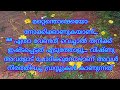 കണ്ട കാഴ്ച്ചയിൽ പെരുവിരൽ  മുതൽ  അവന്  ദേഷ്യം അരിച്ചു കയറി.... സിന്ദൂരം ഭാഗം 24