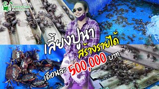 ชมสวนเกษตรกรไทย l Ep69  ตอน กลับบ้านเลี้ยงปูนา สร้างรายได้ เดือนละ 500,000 บาท