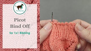 Picot Bind Off for 1x1 Ribbing