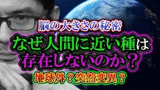 【考察】なぜ人間に近い種は存在しないのか？「脳の大きさと進化の秘密」地球外？突然異変？