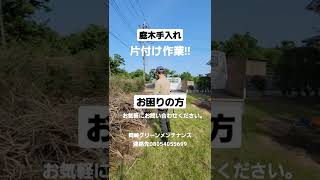 茨城県笠間市　庭の片付け　木を切る　庭木手入れ　伐採　剪定　木をバッサリ　庭スッキリ　草刈　#shorts