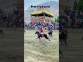 Catch the ball in polo #viral #vlogs #viralvideo #trendingshorts #trendingnow #shandurpolofestival