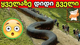 10 ყველაზე დიდი გადაშენებული ცხოველი