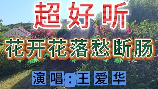 超好听伤感歌曲｜花开花落愁断肠-王爱华