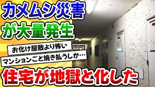 【2ch動物スレ】カメムシの悪魔が日本に襲来！！指数関数的な成長は終わりの見えない悪夢です。。。