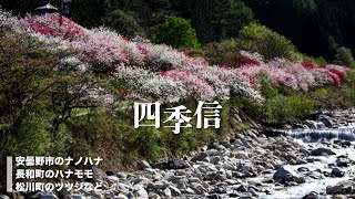 【地方発・長野】四季信