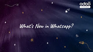 What's New in WhatsApp?