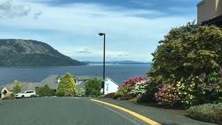 Arbutus Ridge in May