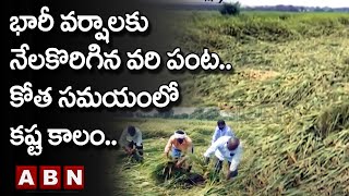 Karimnagar : భారీ వర్షాలకు నేలకొరిగిన వరి పంట..కోత సమయంలో కష్ట కాలం.. || ABN Telugu