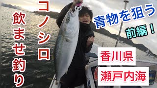 コノシロ飲ませ釣り　 青物を釣る！！ 香川県/瀬戸内海