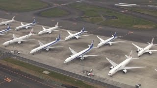 ずらーっと旅客機、JALもANAも　運休相次ぐ羽田で