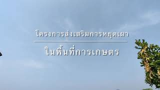 โครงการส่งเสริมการหยุดเผาในพื้นที่การเกษตร สำนักงานเกษตรอำเภอชัยบาดาล จังหวัดลพบุรี