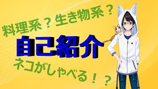 【自己紹介】はじめまして！白峰隼也です！【（自称）新人VTuber】