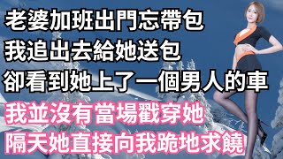 老婆加班出門忘帶包，我追出去給她送包，卻看到她上了一個男人的車，我並沒有當場戳穿她，隔天她直接向我跪地求饒！【一濟說】#落日溫情#情感故事#花開富貴#深夜淺讀#深夜淺談#家庭矛盾#爽文