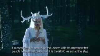 Feral Hearts - Valge Hirv (White Stag) - The Vision