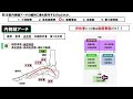 【過去問解説：第58回国家試験 午前70問目】内側縦アーチ【理学療法士・作業療法士】