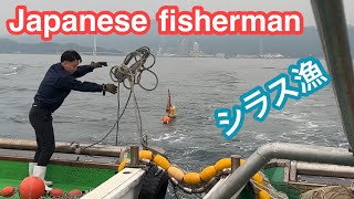 出て来たぞ❗️シラス漁The strongest fleet Shirasu fisherman