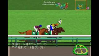 中山牝馬ステークス（GⅢ） 3/9現在 JRA競馬レース展開予想 2018年【競馬予想】