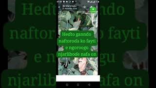 Heɗto ganndo naftoroɗa