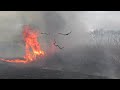 2022年の菅生沼の野焼き：controlled burning in japan @ sugao numa ibaraki prefecture