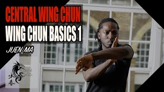 CENTRAL WING CHUN - WING CHUN BASICS 1