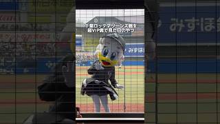 ZOZOマリンスタジアムのVIPシートに潜入！！バックネット裏の臨場感半端ない！その名も『ファイトイッパーツ！リポビタンシート』 #千葉グルメ #千葉ロッテマリーンズ