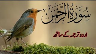 Surah Rahman | Surah Ar Rahman full with Urdu translation |Amazing Quran |