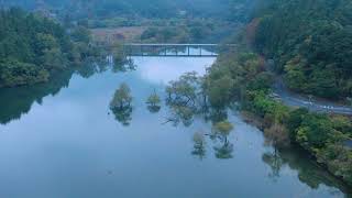 [4Kドローン空撮]豊田湖の水没林～朝霧～紅葉～リフレクション