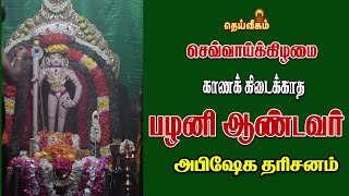 🔴LIVE :  செவ்வாய்க்கிழமை காணக் கிடைக்காத பழனி ஆண்டவர் அபிஷேக தரிசனம் #dheiveegamtv #live