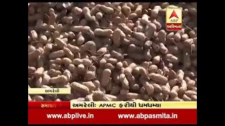 Amreli, Sawarkadla, Dhari APMC market started again