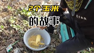 这个钓点的资源太好，玉米打窝玉米钓，翘嘴青稍连杆不停口。